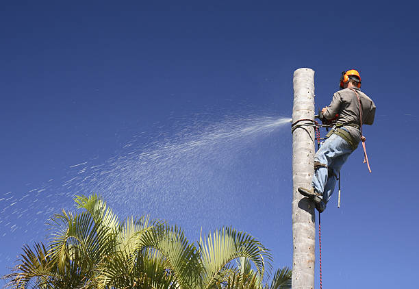 Lawn Watering Services in Tano Road, NM